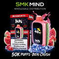 BERI CRUSH 50K Puffs Disposable Vape Watermelon Ice 5CT/Box