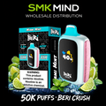 BERI CRUSH 50K Puffs Disposable Vape Miami Mint 5CT/Box