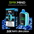 BERI CRUSH 50K Puffs Disposable Vape Blue Razz Ice 5CT/Box